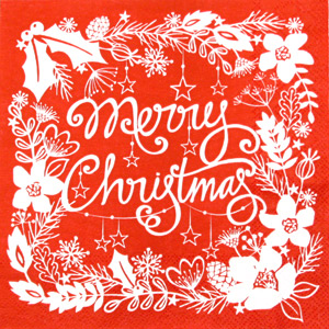 Salveta Merry Christmas BMX1