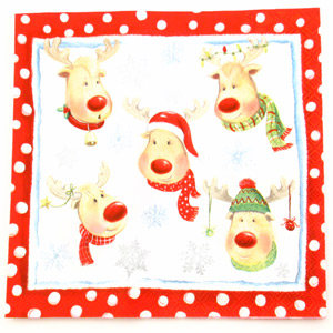 Salveta Funny Reindeers BZ15