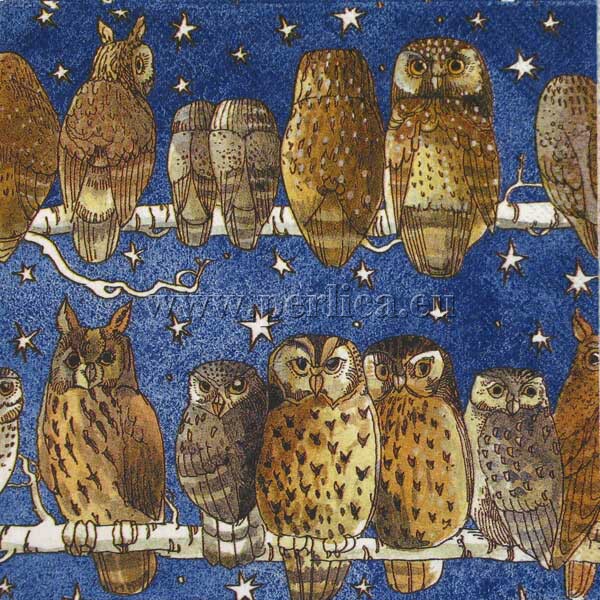Salveta Owls PT21