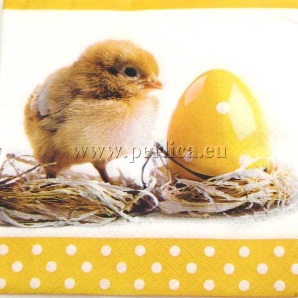 Salveta Chickegg SU19