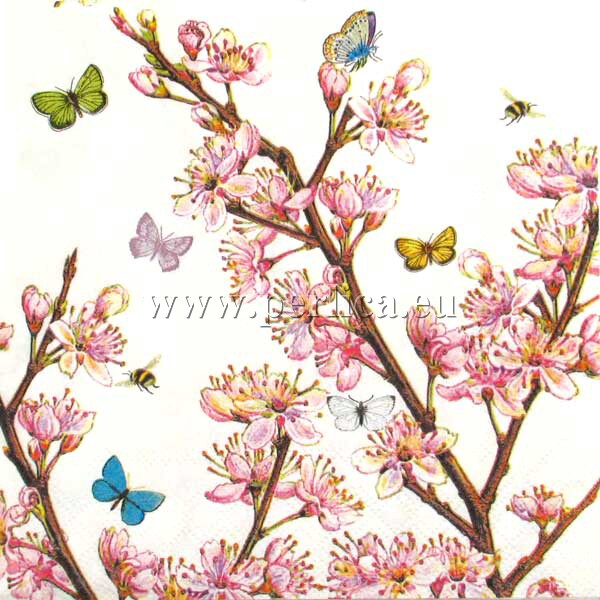 Salveta Blossom cream C33