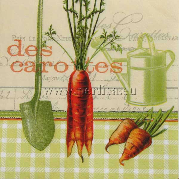 Salveta Les Carottes VP1