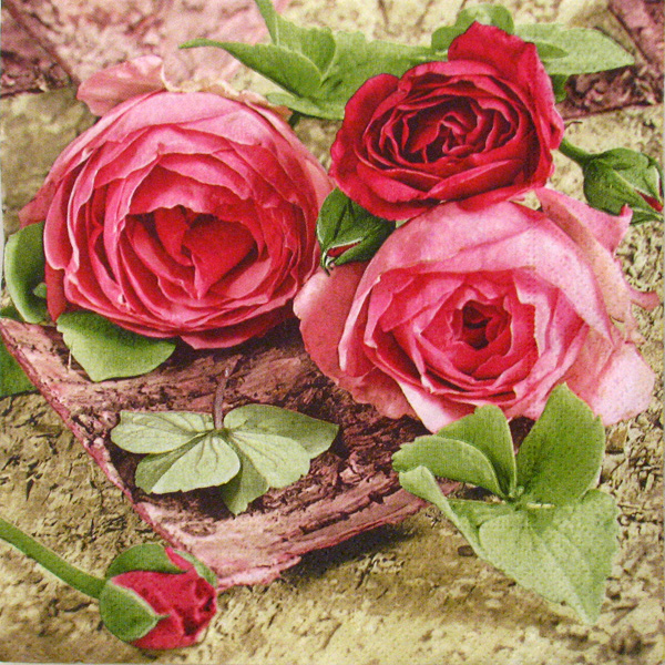 Salveta "Sentimental roses" CR12