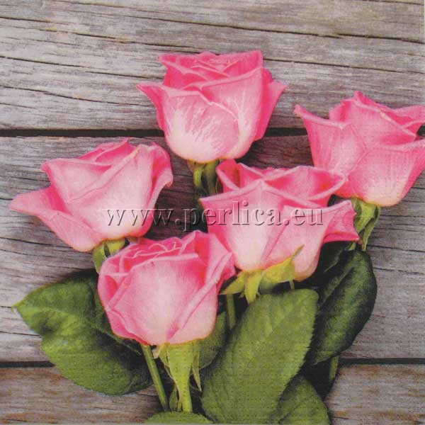 Salveta Royal Roses CR3