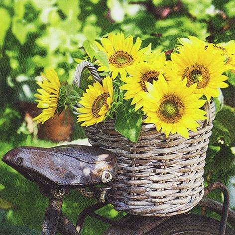 Salveta Sunny Flower C84