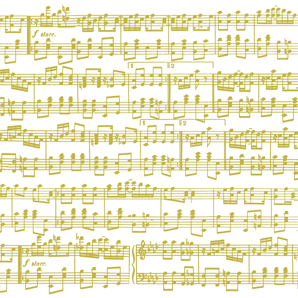 Salvera "Musica Oro" R16