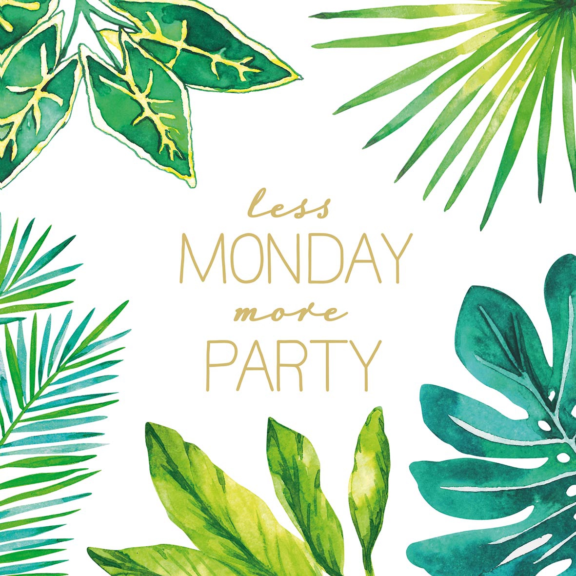 Salveta Jungle Less Monday L6