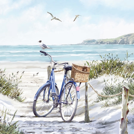 Salveta Bike at the Beach MO31