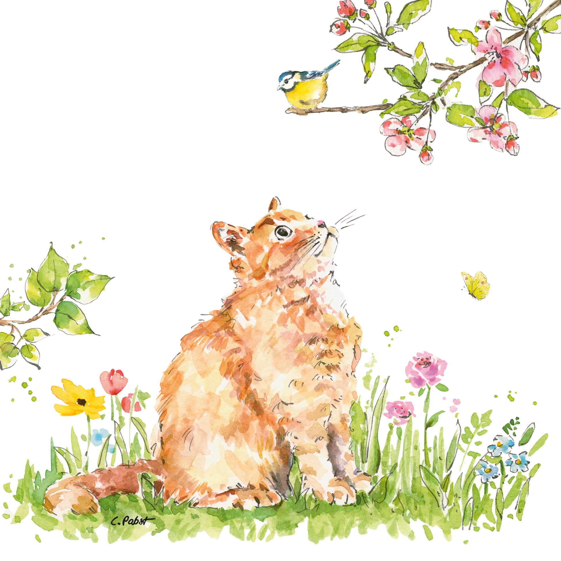 Salveta  Cat & Bird ZC3