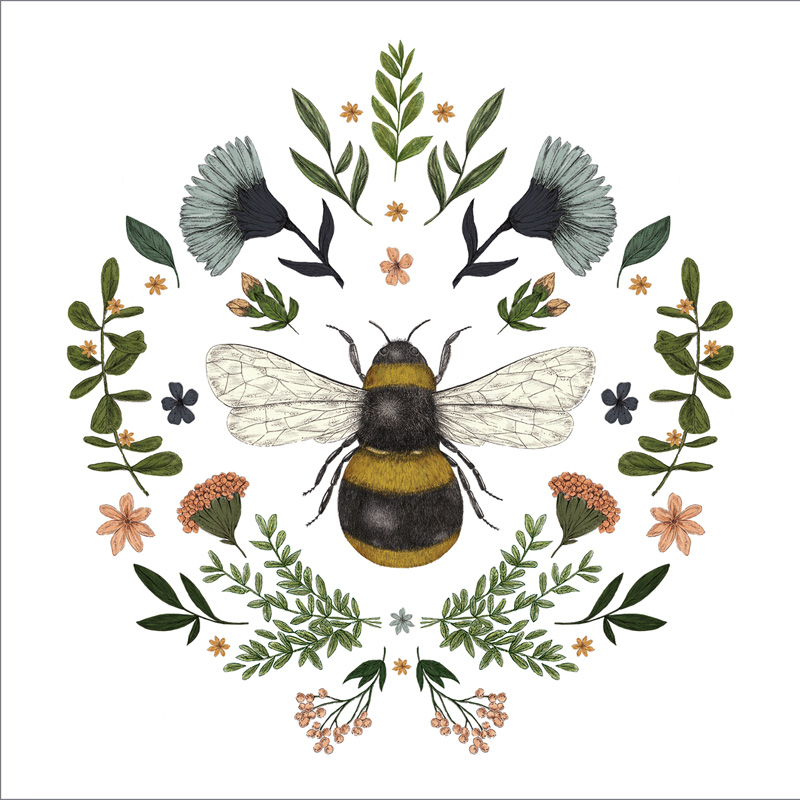 Salveta Secret Bee  ZL7