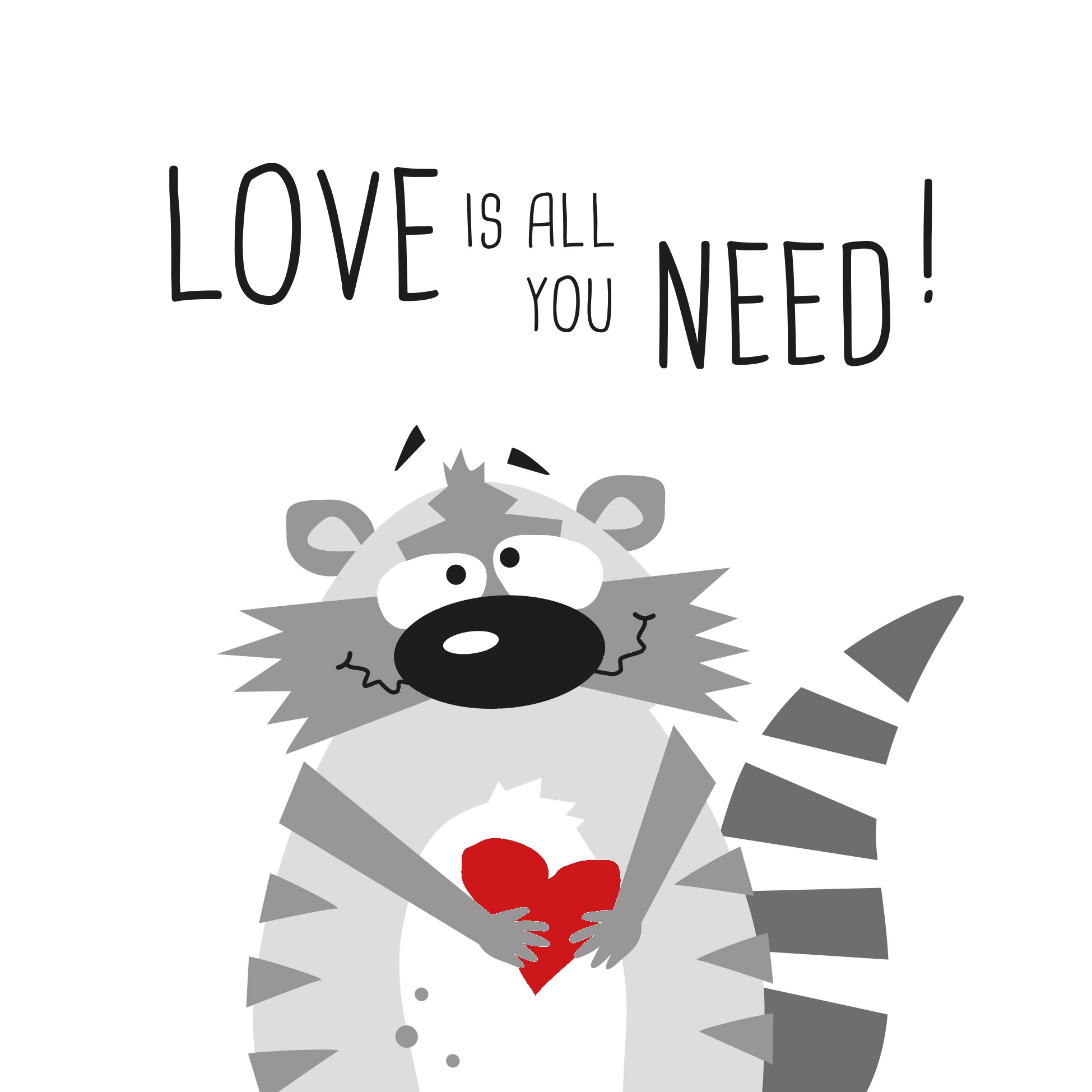 Salveta Need Love Racoon ZC2