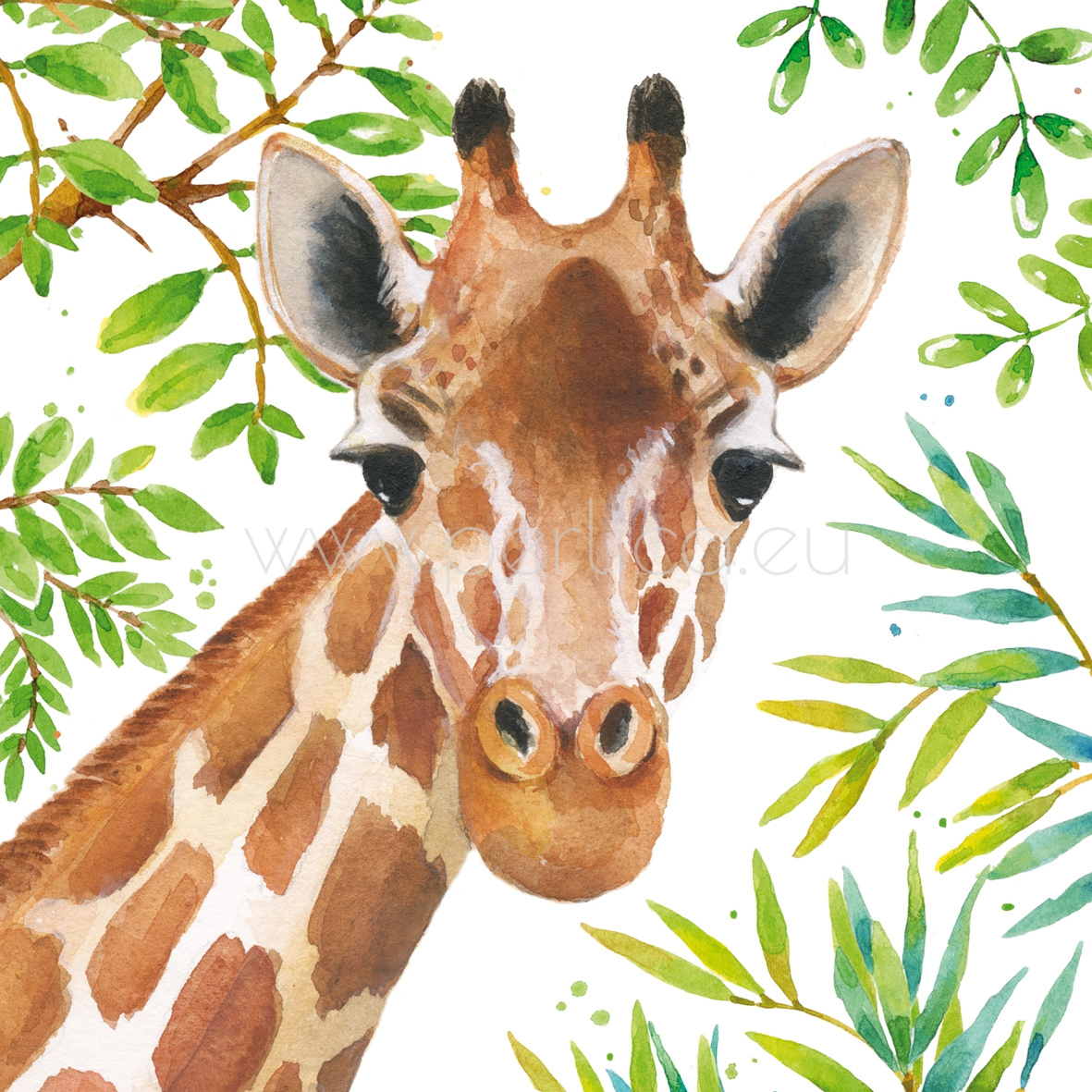Salveta Tropical Giraffe J8