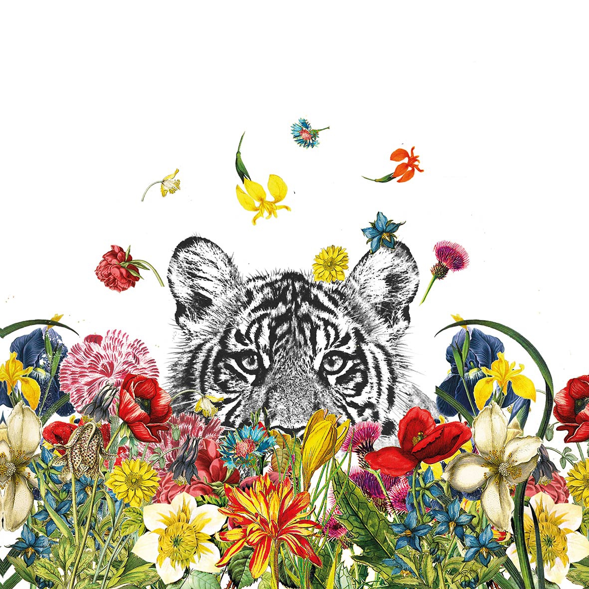 Salveta Happy Tiger J7