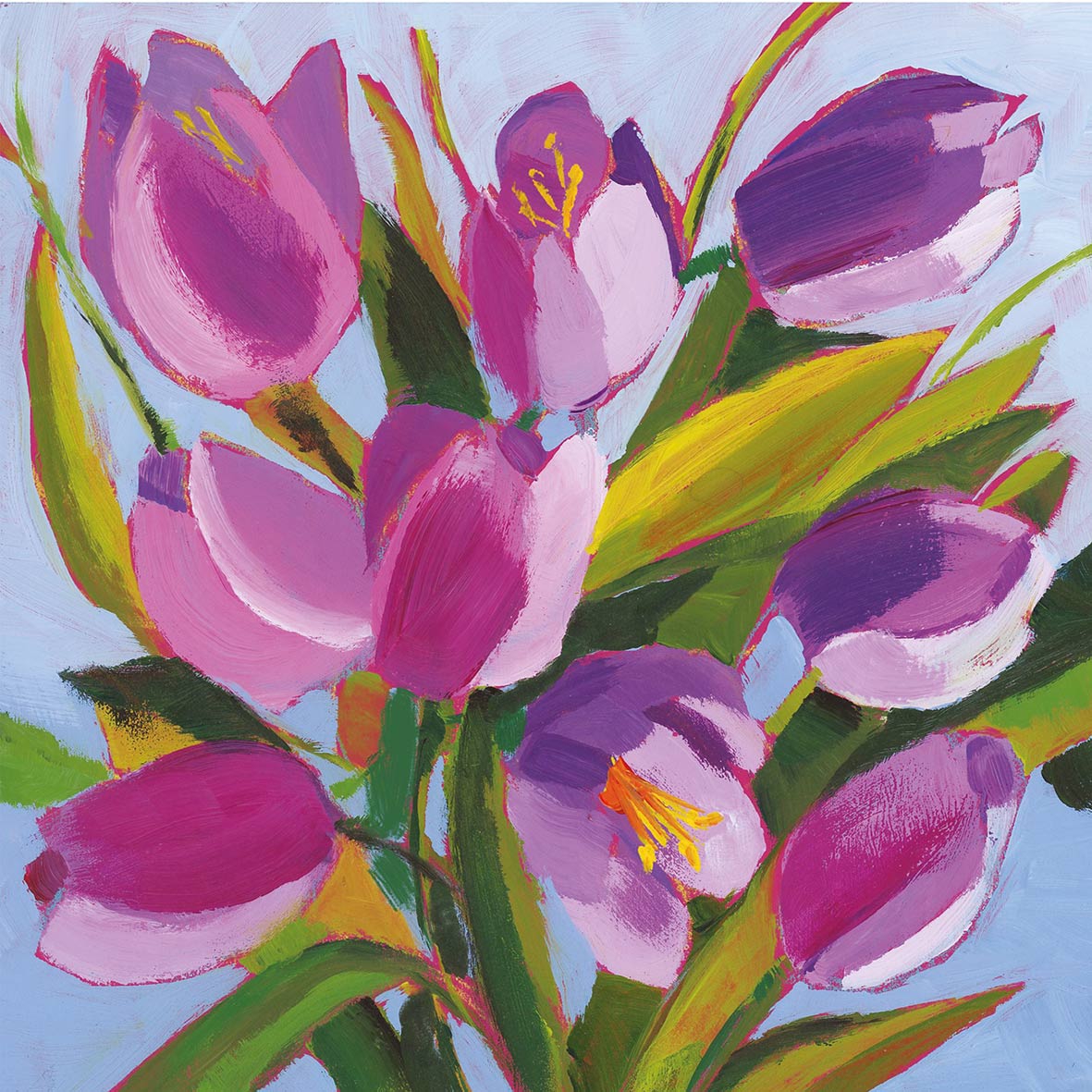 Salveta Tulips Musee C80