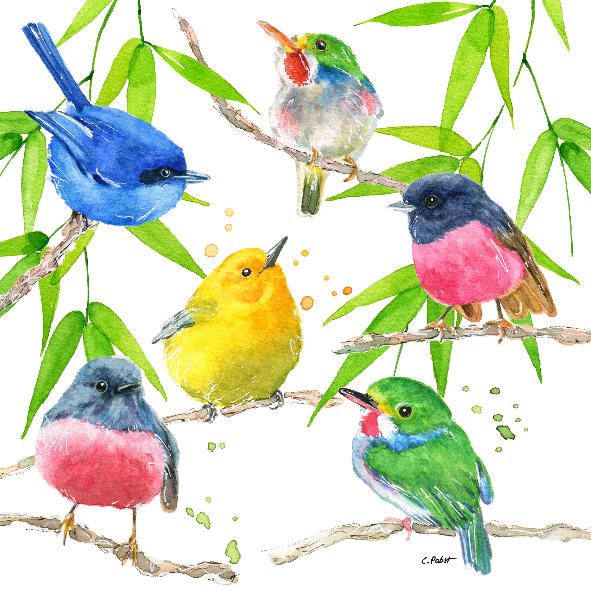 Salveta Bird Paradise PT9