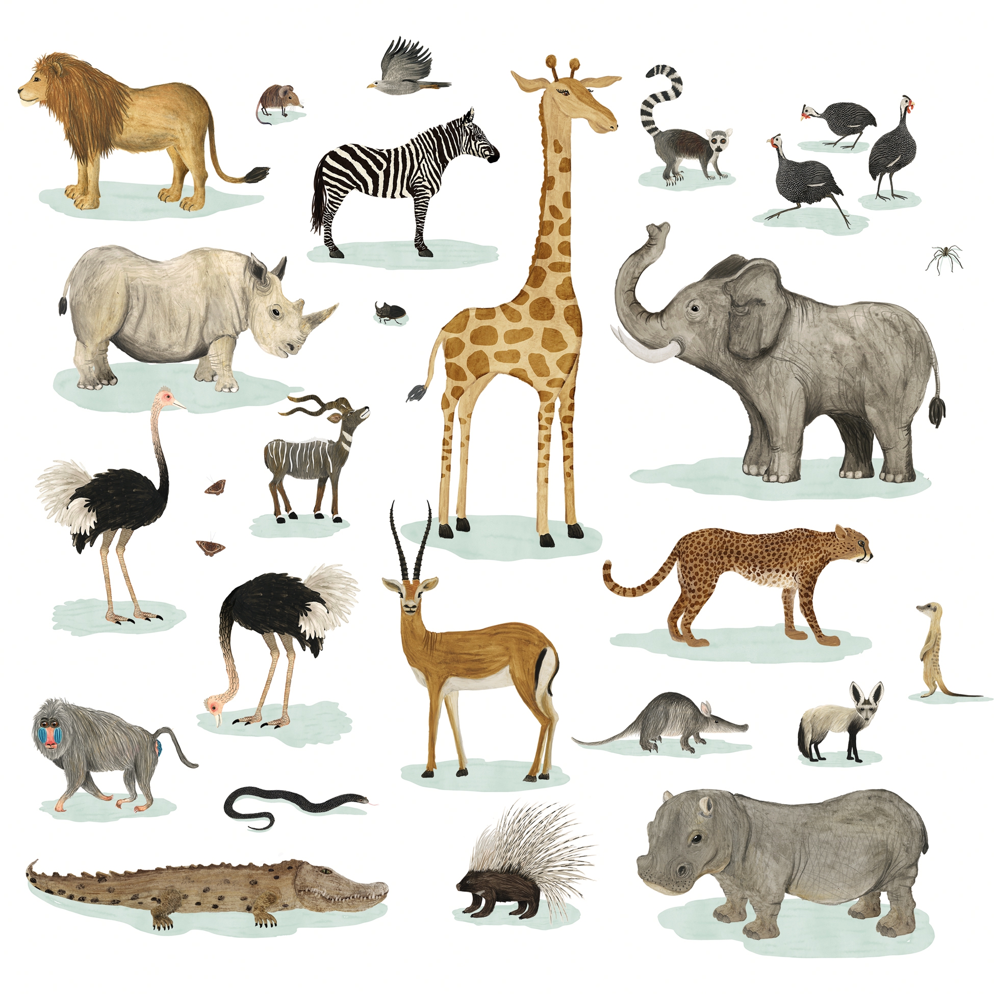 Salveta "Zoo" J3