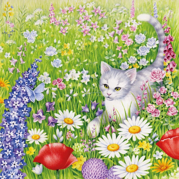 Salveta  Summer meadow ZC2