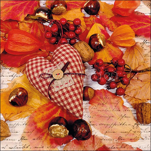 Salveta "Autumn Heart" VP24
