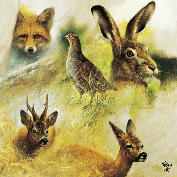 Salveta Wild Animals Collage ZS2