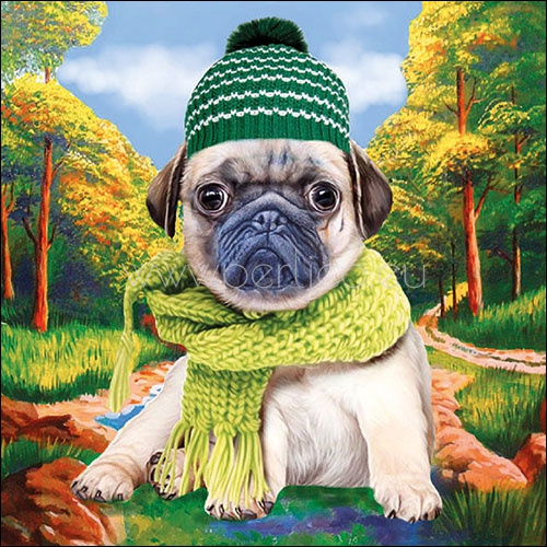 Salveta Autumn Pug ZD3