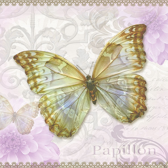 Salveta Papillon ZL1