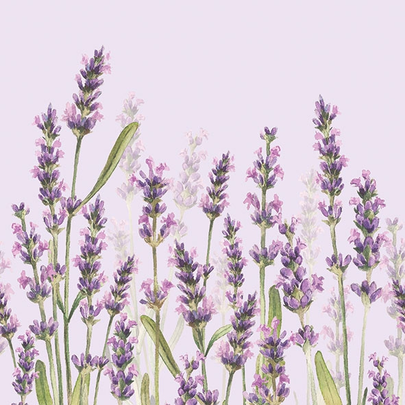 Salveta Lavender shade, lila CL9