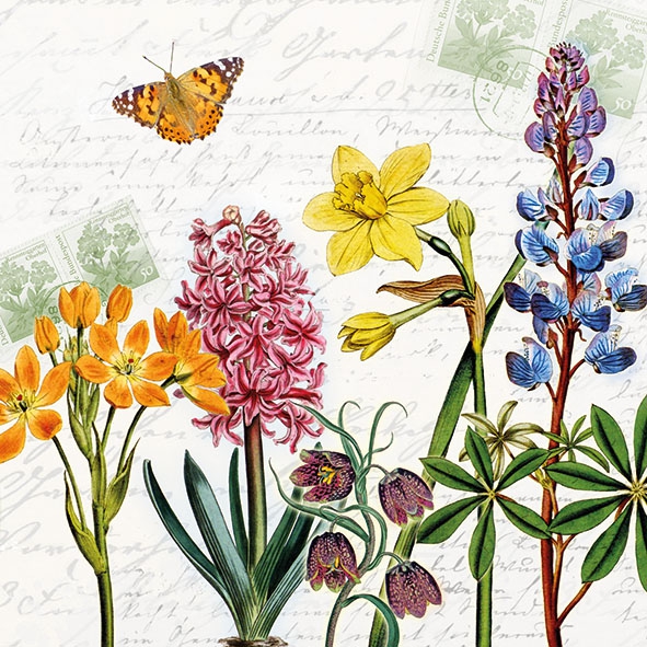 Salveta  Spring Flowers C34