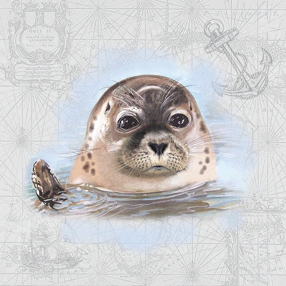 Salveta Seal MO9