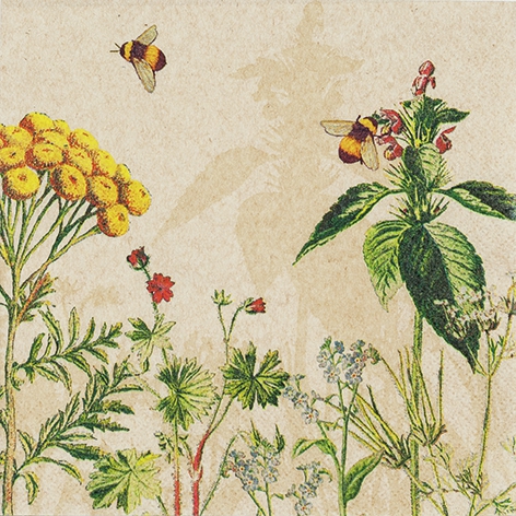 Salveta Wild Flowers C90