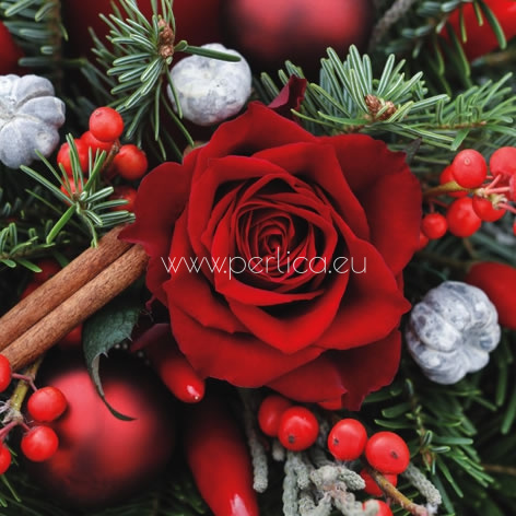 Salveta Red rose with Fir Brunia BZ32