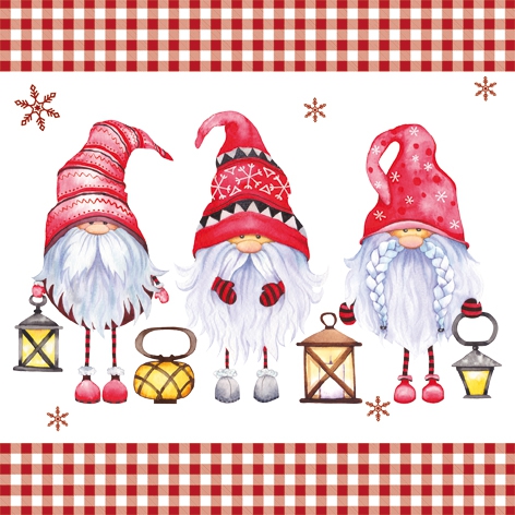 Salveta Scandinavian Gnomes ZI38