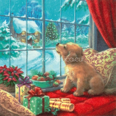 Salveta Puppy on window seat BZ32