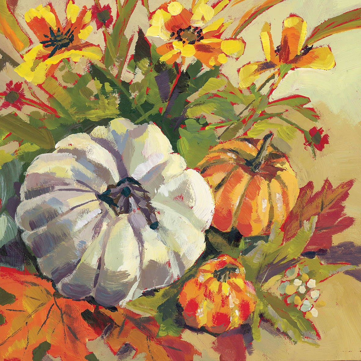 Salveta Pumpkin Patch CJ11