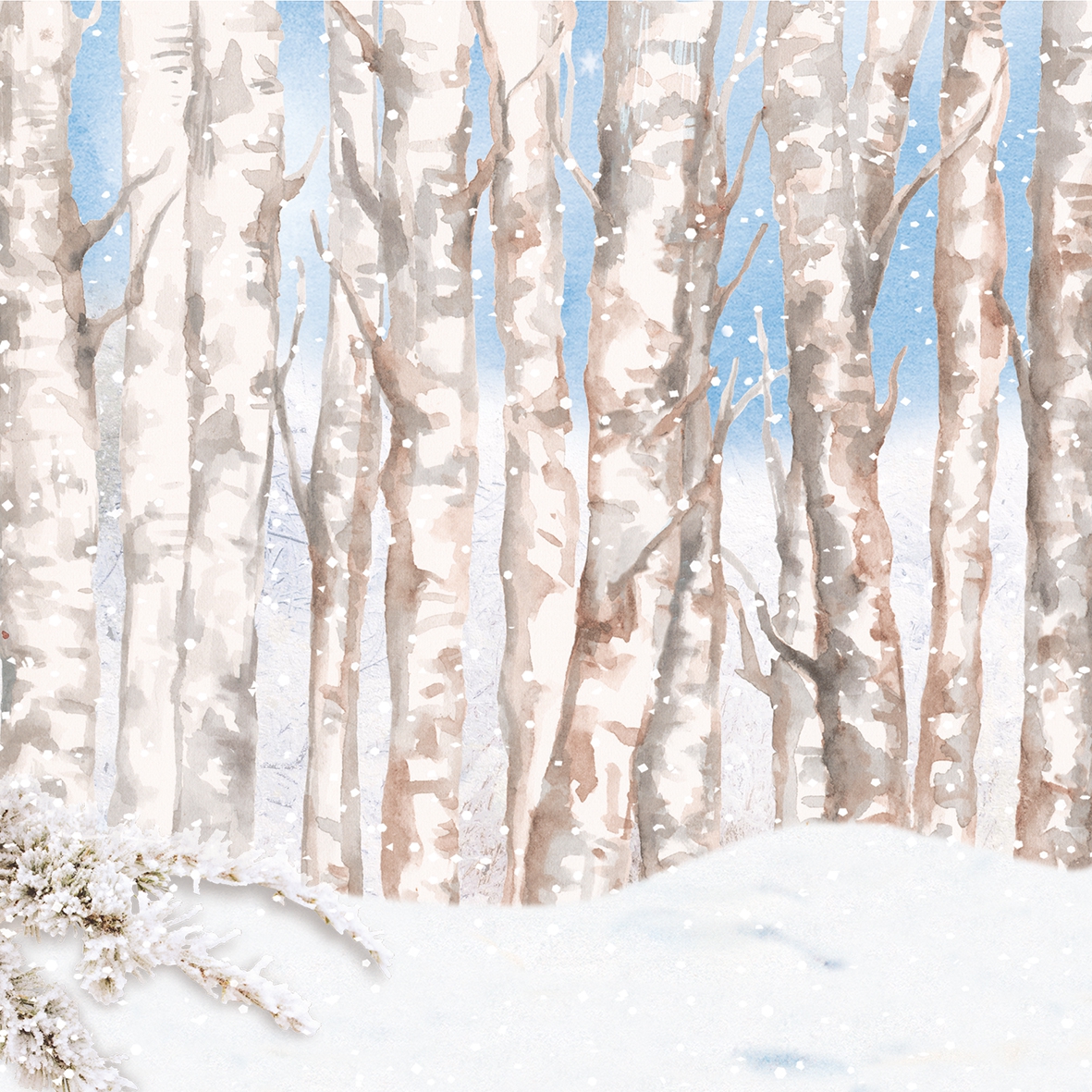Salveta  Winter woderland ZI11