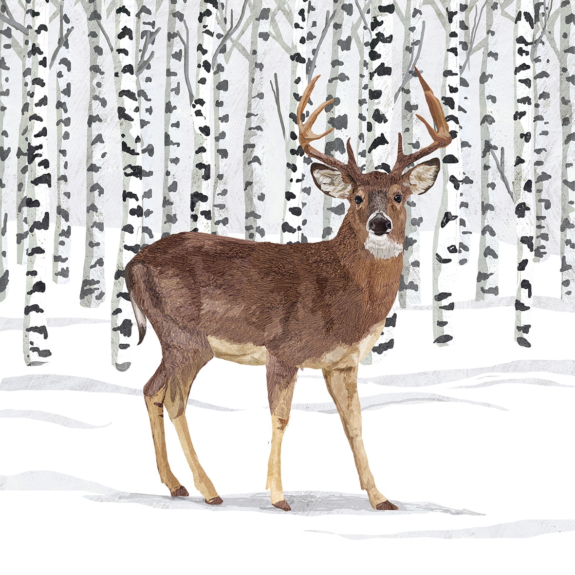 Salveta  Wilderness Stag ZS6