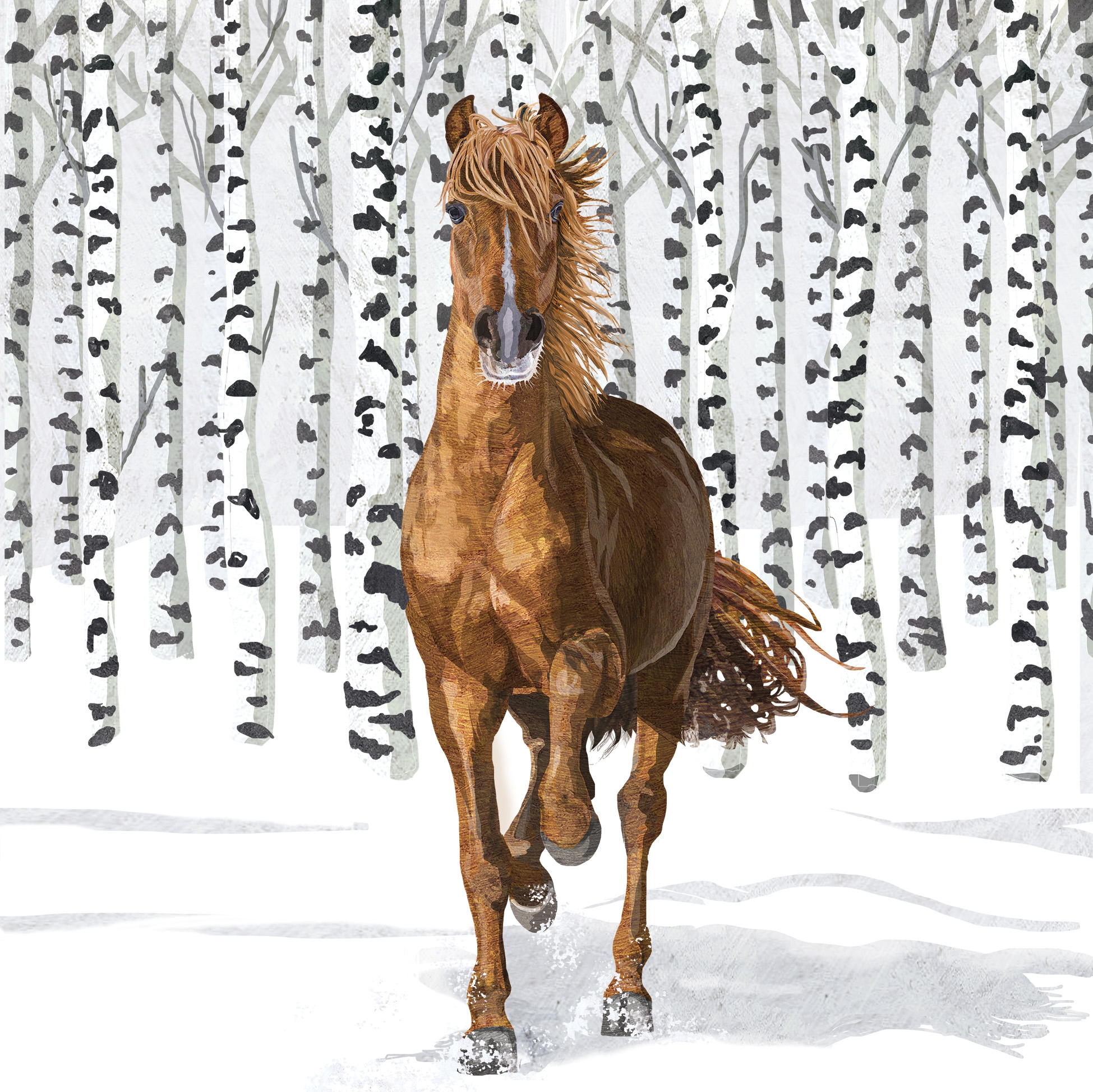Salveta  Wilderness Horse ZMK3