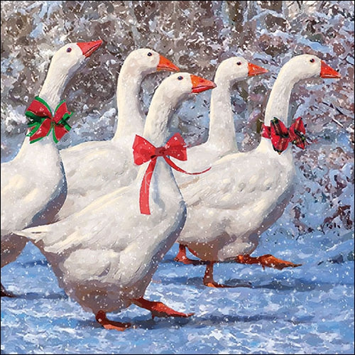 Salveta X-mas geese PT6