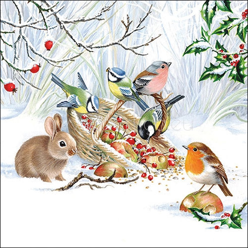 Salveta Winter Treat  BZ12