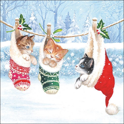 Salveta Kitten in winterland BZ12