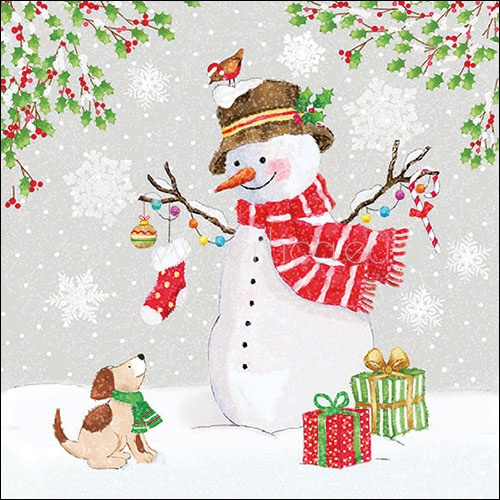 Salveta Snowman meet Friends SS2