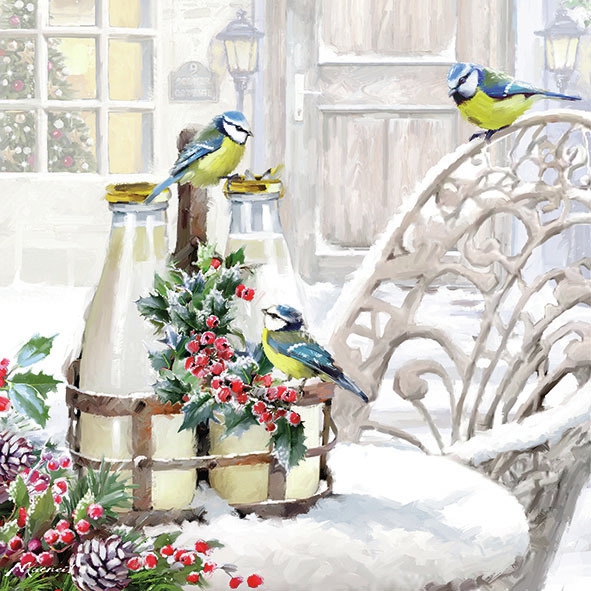 Salveta Birds in Wintergarden ZI36
