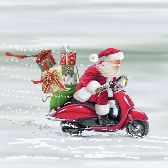 Salveta Lihtning Fast Santa ZI55