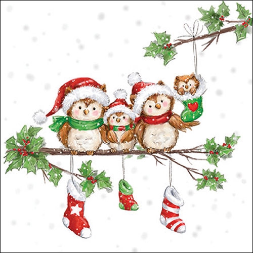Salveta Owl Family ZI59
