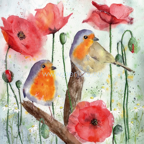 Salveta Red Robin and Poppy PT17