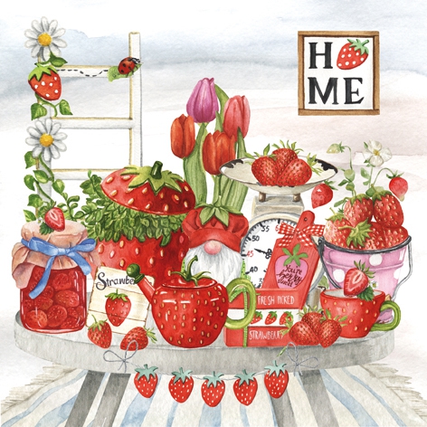 Salveta Strawberry Home VP24