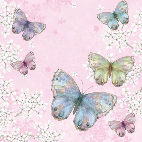 Salveta Bellissima Farfalla pink ZL1