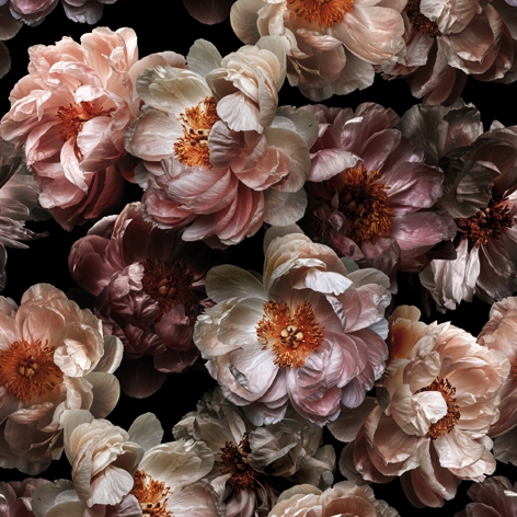 Salveta  Victorian Wild Roses CR24