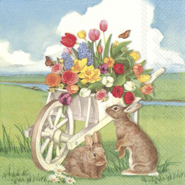 Salveta Easter Barrow SU8