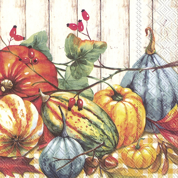 Salveta Country Pumpkins CJ12