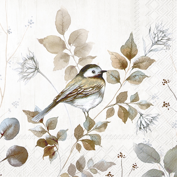 Salveta Woodland birds CJ11